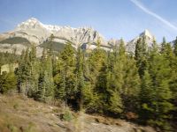 Blick auf Cirrus Mountain - Jasper Nationalpark - Kanada