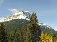 9-IMG 20241012 204416 963-1 (99)