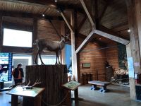 Visitor Center bei Roger Pass - Glacier Nationalpark - Kanada