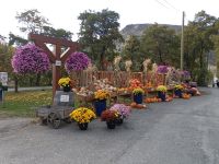 Einfahrt zu Horsting´s Farm Market, Kanada