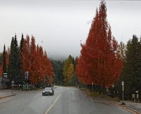 11-IMG 20241015 005311 390