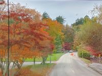 Indian Summer in  Stanley Park - Vancouver, Kanada