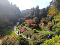 Butchart Gardens - „Sunken Garden“, Vancouver Island - Kanada