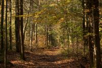 Wanderung im Algonquin Park