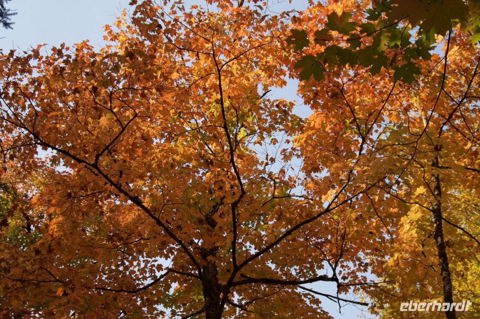 Wanderung im Algonquin Park