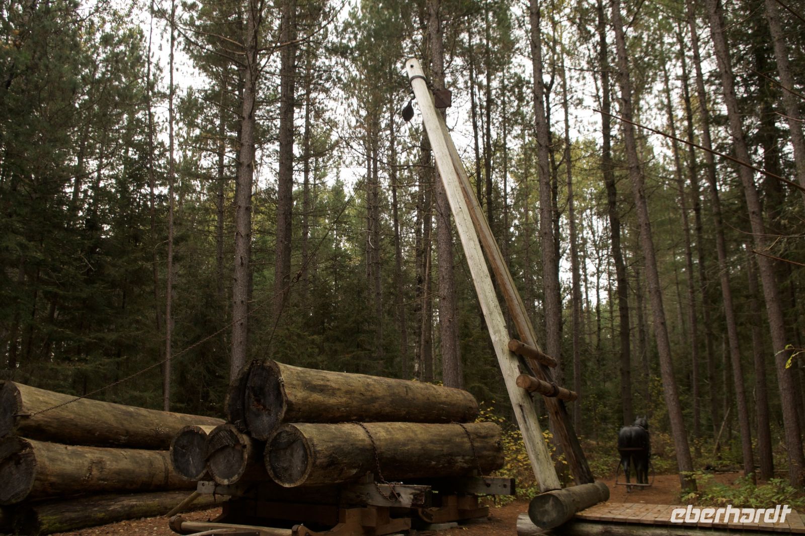 Logging Museum im Algonquin Park