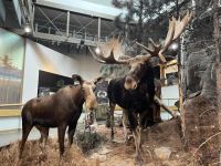 Algonquin Besucherzentrum