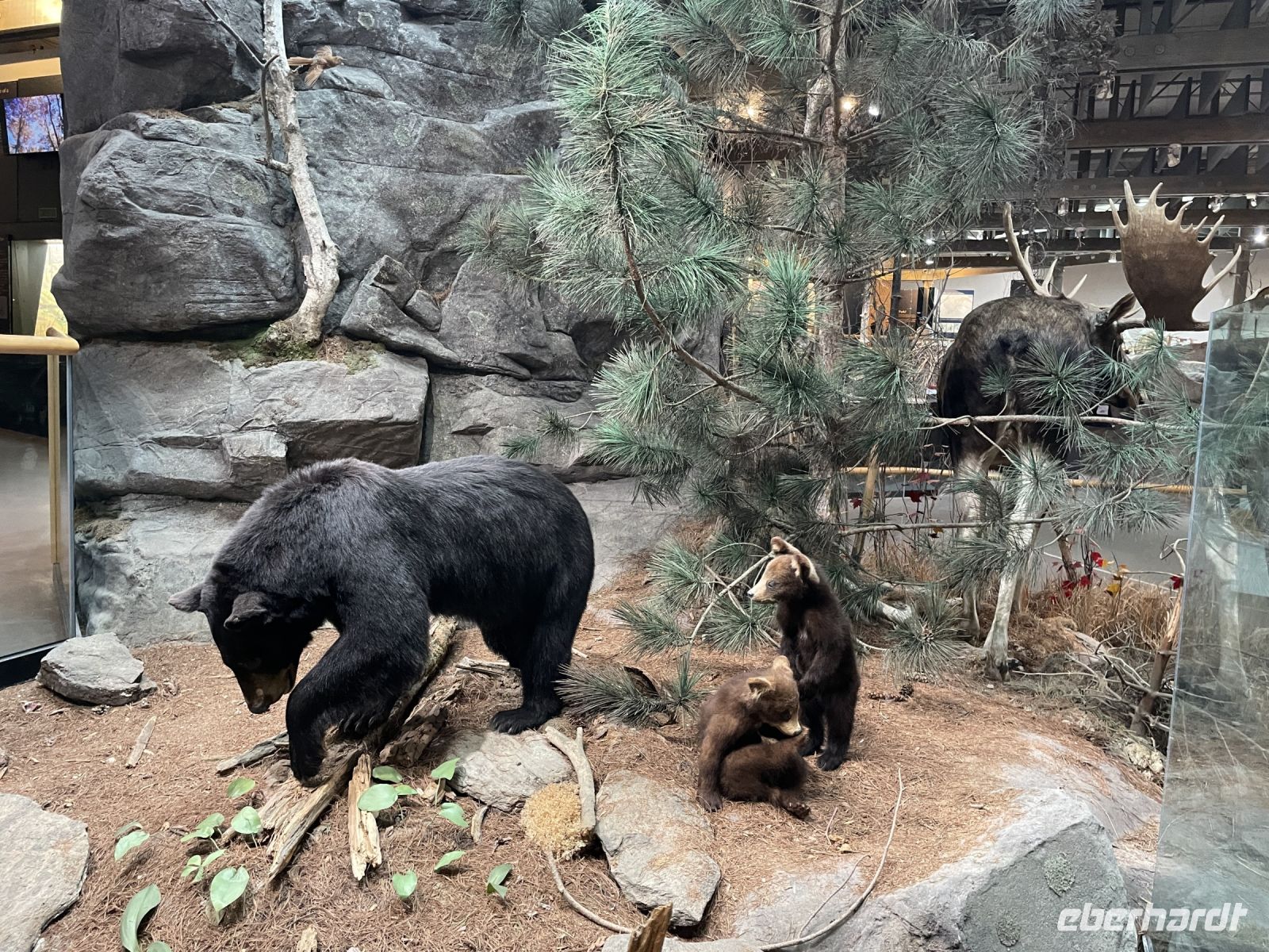 Algonquin Besucherzentrum