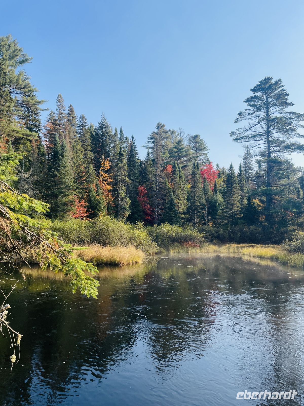 Algonquin Park