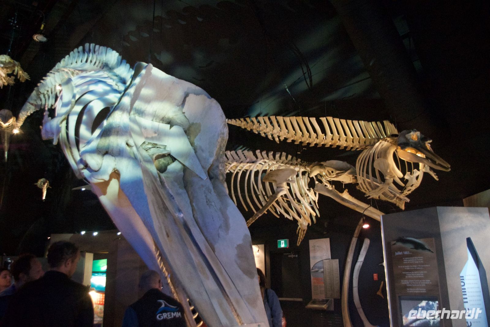 Meerestiermuseum Tadoussac