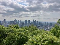 Skyline von Mont Royal aus