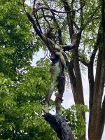 Die Baumfrau aus Bronze