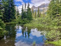 Perfekte Spiegelung in den Rockies