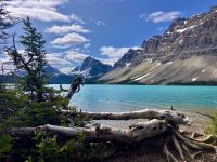 Stilleben in den Rockies