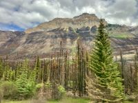 Bei Jasper, das grosse Feuer von 2024