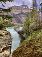 Die Athabasca Faelle vor Jasper