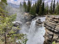 Die Athabasca Faelle auf der Gletscher Parkstrasse