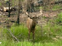 Er gewinnt sicher viele Damenherzen