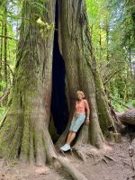 Riesenzeder und Reiseleitung