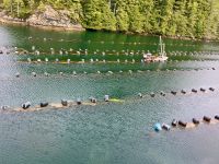 Austernfarm von oben