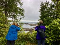 Die romantische Wanderung