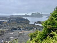Morgennebel in Tofino