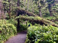 Die Kuesten Wanderung