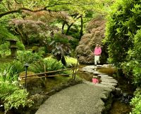 Auf der Steinbruecke zurueck. Im Japanischen Garten