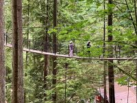 Der Baumwipfelpfad in Capilano Suspension Bridge Park