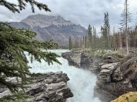 Athabasca Falls, Jasper
