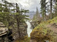 Athabasca Falls, Jasper