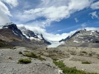 Athabasca Gletscher, Jasper 