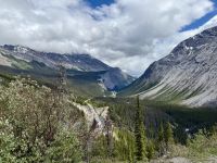 Aussichtspunkt Nahe Saskatchewan River Crossing