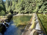 Lachsaufzuchtstation, Capilano Park, Vancouver 