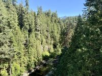 Capilano Suspension Bridge Park, Vancouver 
