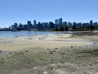 Skyline, Vancouver