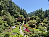 Burchart Gardens, Victoria 