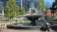  Dog Fountain im Berczy Park, DER Hunde(halter)treff in Toronto