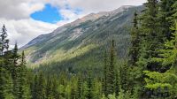 Spiral Tunnel, Yoho-Nationalpark