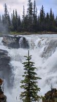 Athabasca Falls 