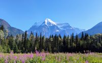 Mount Robson 