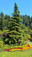 Butchart Gardens, Vancouver Island 