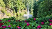 Butchart Gardens, Vancouver Island 