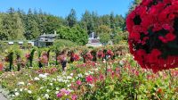 Butchart Gardens, Vancouver Island 