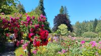 Butchart Gardens, Vancouver Island 