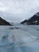Athabasca Gletscher 