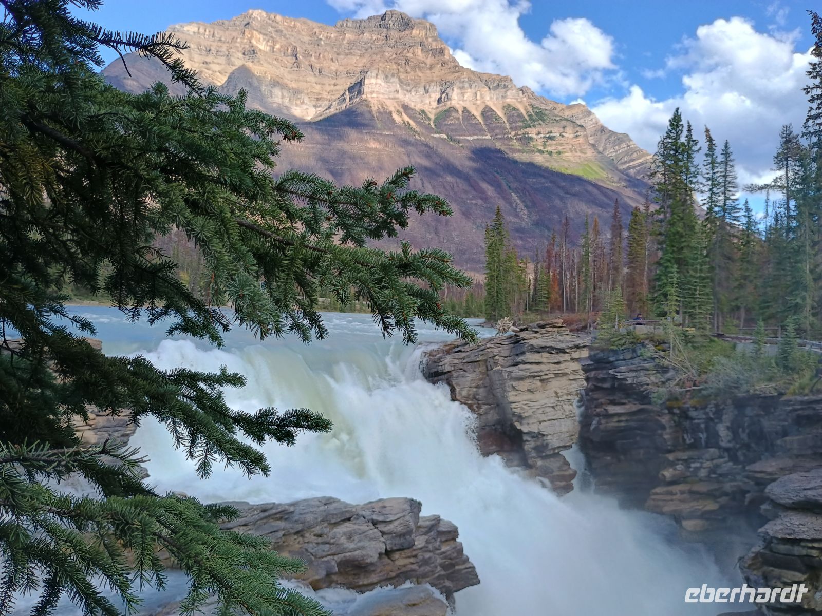 Athabasca Falls 