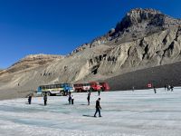 3. Tag – Banff bis Jasper – Icefields Parkway – Auf dem Athabasca Glacier