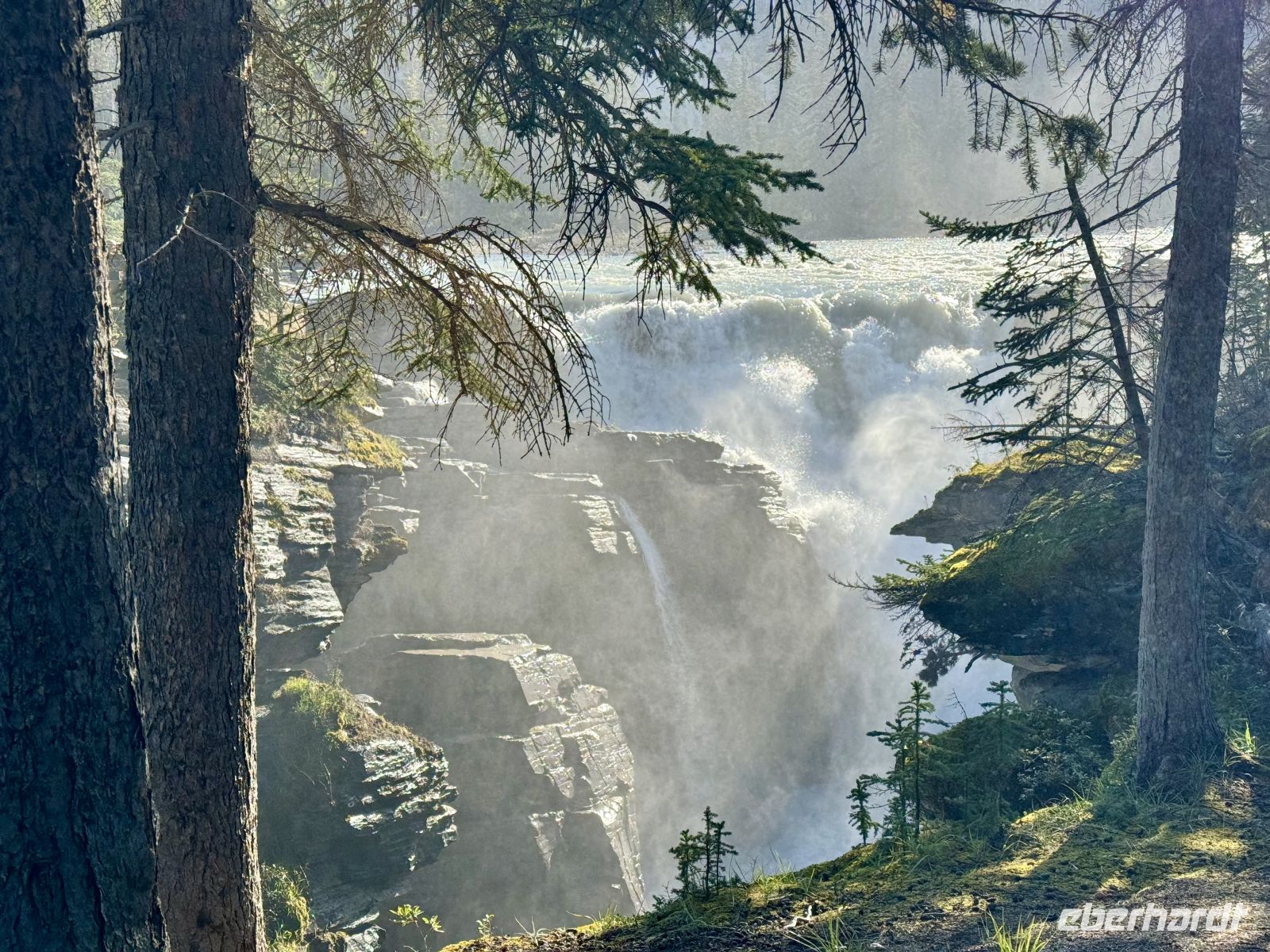 4. Tag – Jasper-Nationalpark – Athabasca Falls