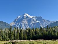 5. Tag – Jasper bis Prince George – Pause am Mount Robson